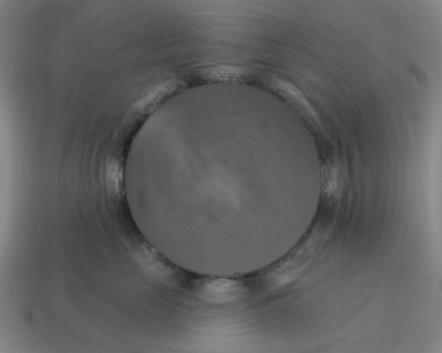 X0000114420669200911061623