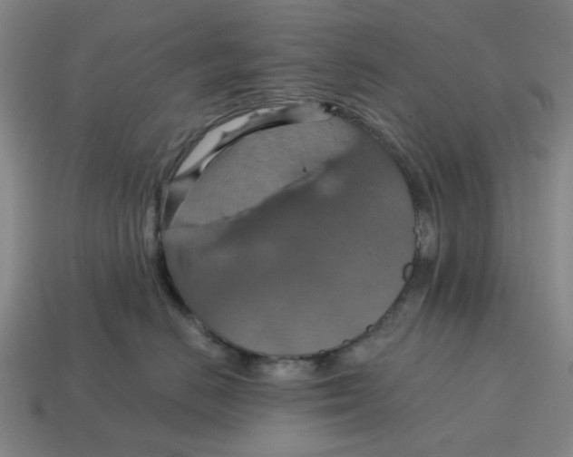 X0000114420670200911061623