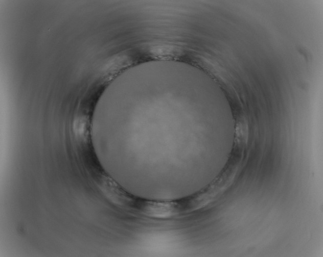 X0000114420671200911061623