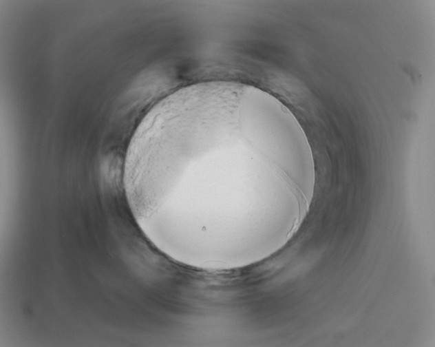 X0000114420672200911061624