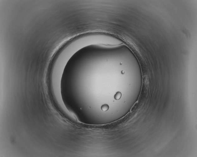 X0000114420676200911061623