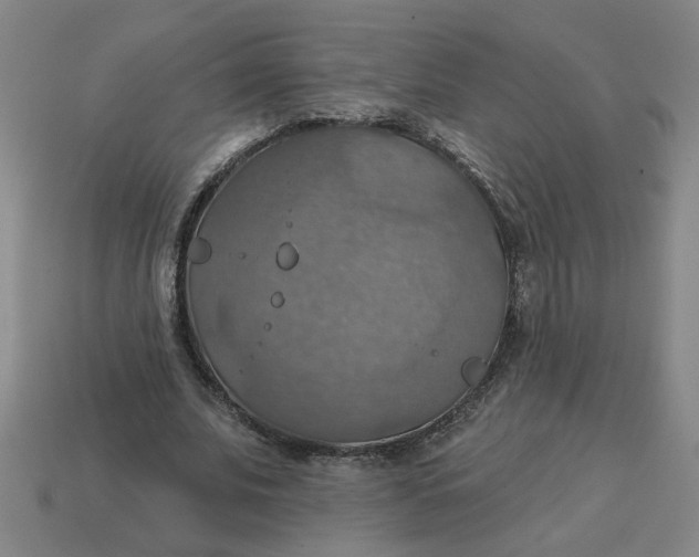 X0000114420679200911061623