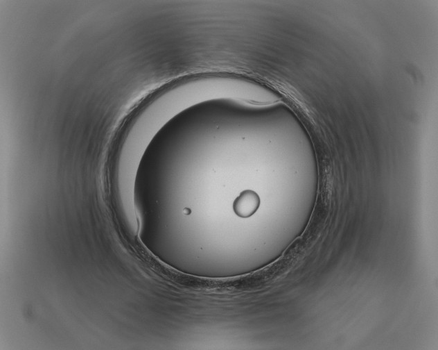 X0000114420680200911061623