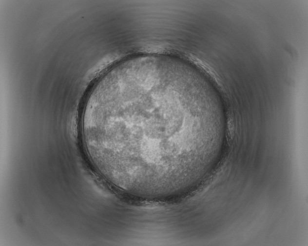 X0000114420682200911061623