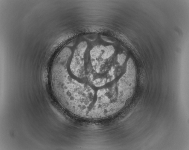 X0000114420683200911061623