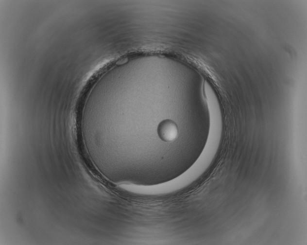 X0000114420684200911061623