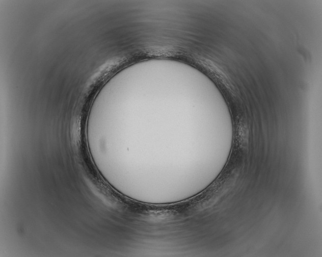 X0000114420686200911061623