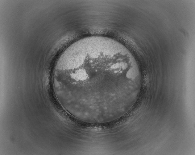 X0000114420687200911061623