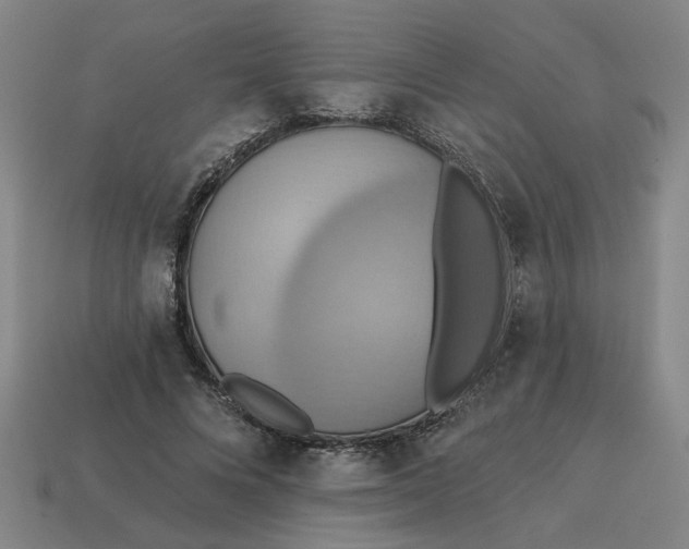 X0000114420688200911061623