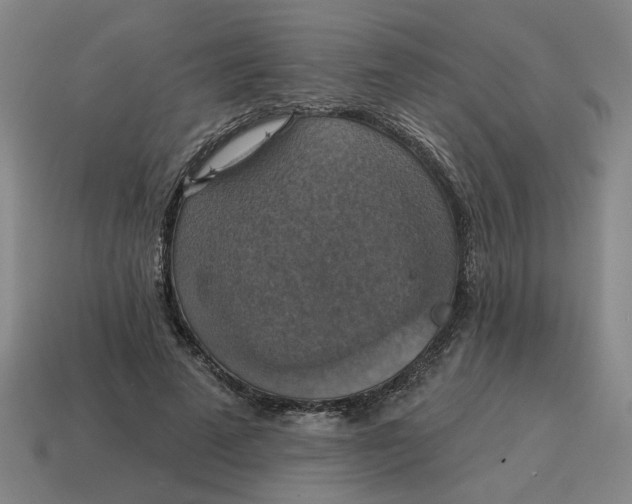 X0000114420689200911061623