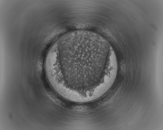 X0000114420691200911061623