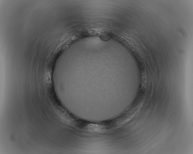 X0000114420699200911061623
