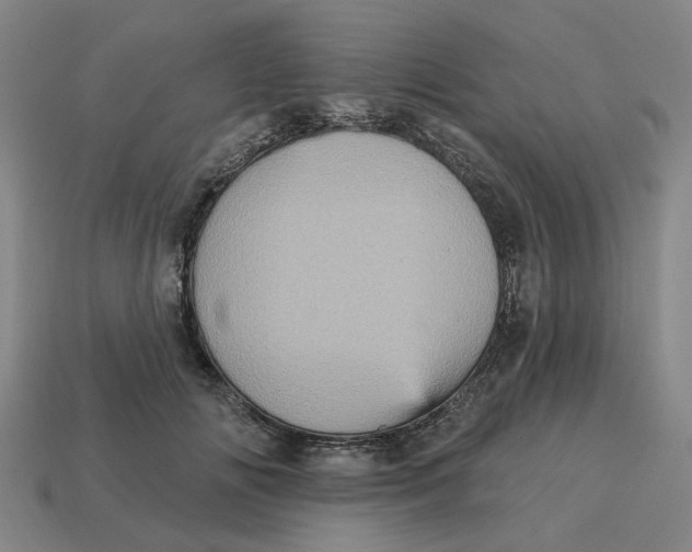 X0000114420702200911061623