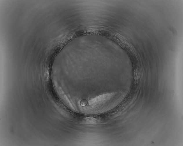 X0000114420703200911061623