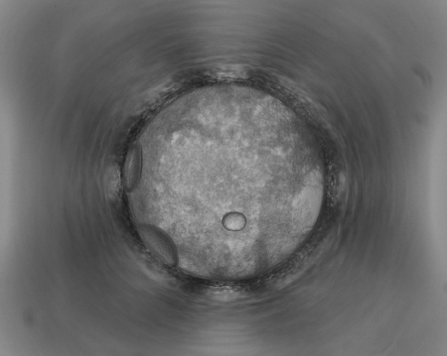 X0000114420704200911061622