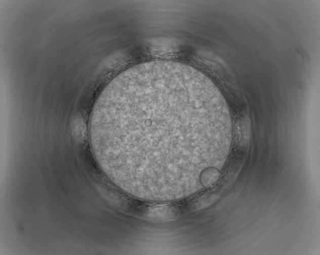 X0000114420705200911061622