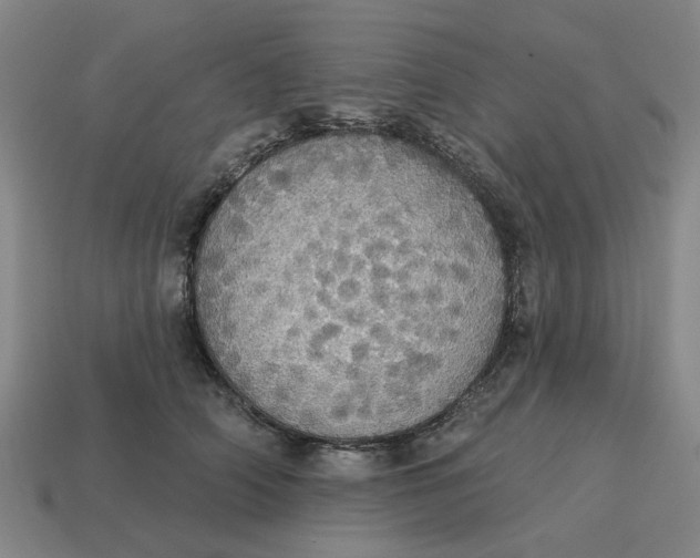 X0000114420706200911061622