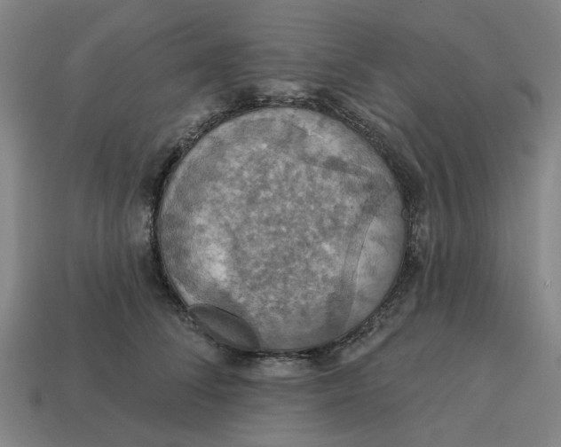 X0000114420708200911061622
