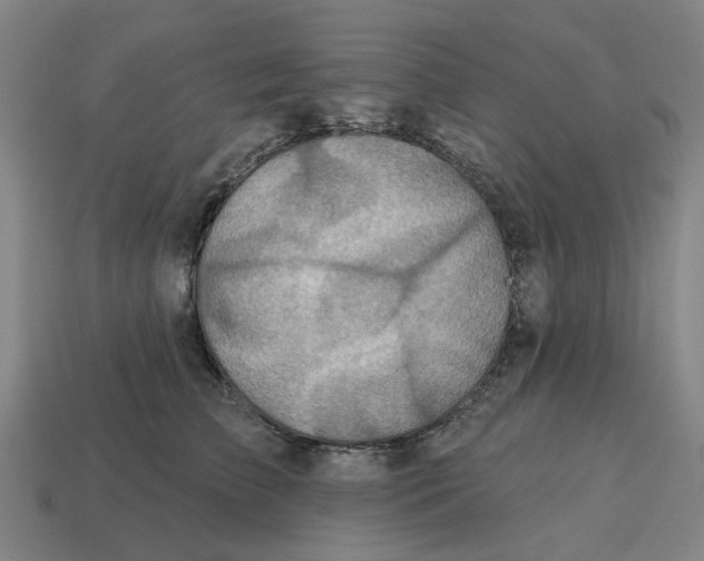 X0000114420709200911061622