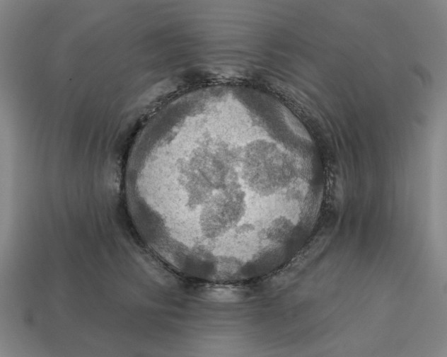 X0000114420710200911061622