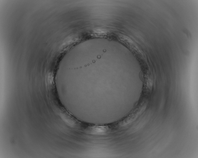 X0000114420711200911061622