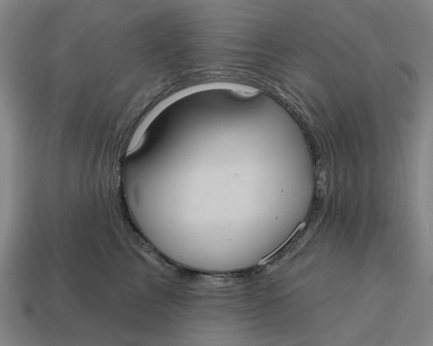 X0000114420713200911061622