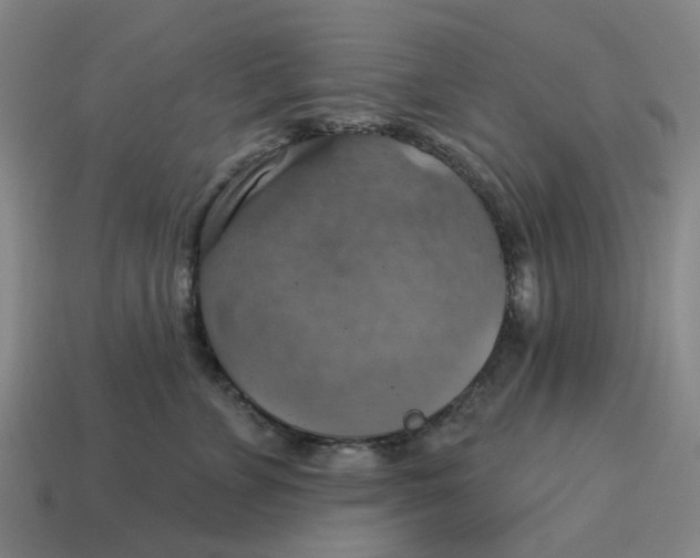 X0000114420715200911061622