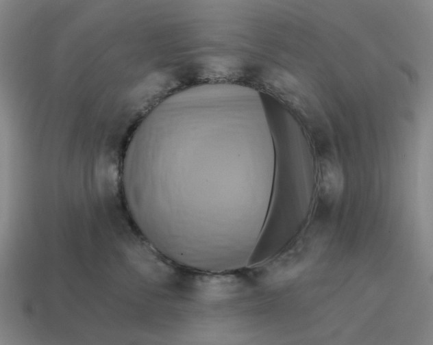 X0000114420716200911061622