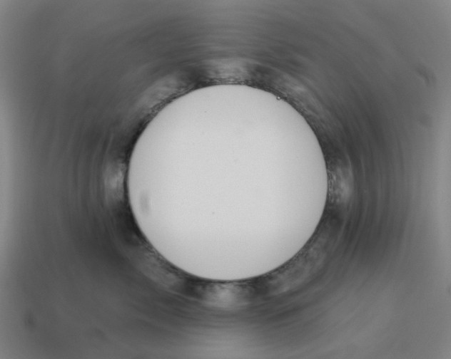 X0000114420717200911061622