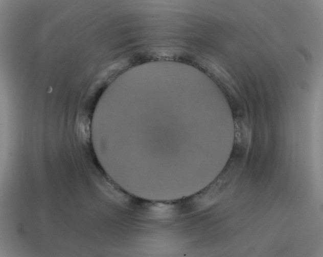 X0000114420718200911061622