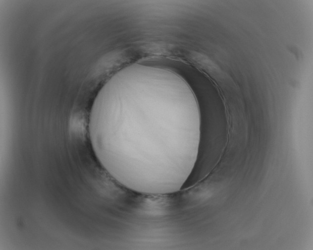 X0000114420720200911061622