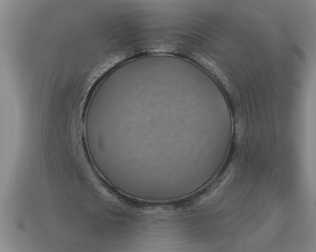 X0000114420721200911061622