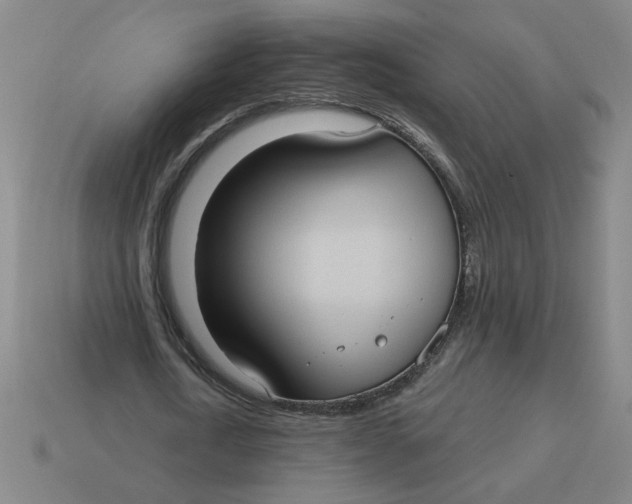 X0000114420722200911061622