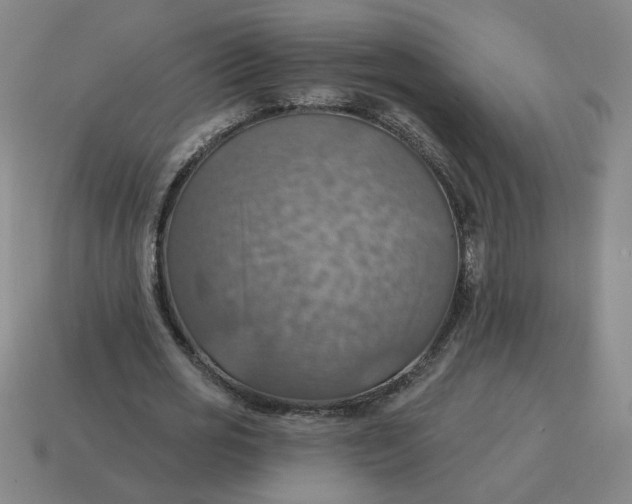 X0000114420725200911061622