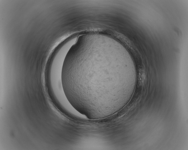 X0000114420726200911061622