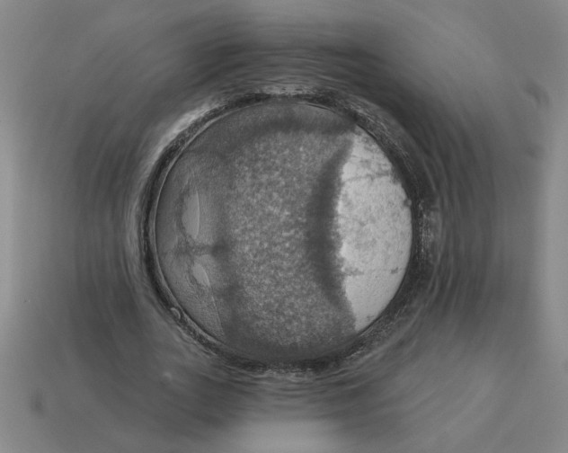X0000114420727200911061622