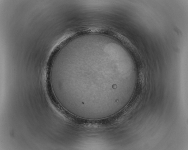 X0000114420730200911061622