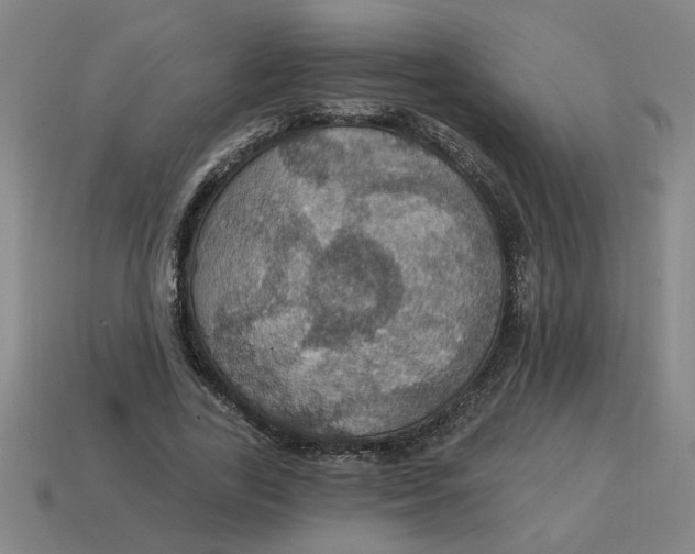 X0000114420731200911061622