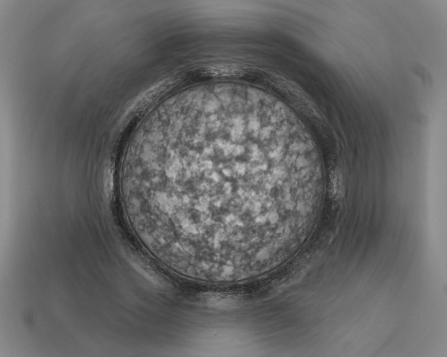 X0000114420733200911061622