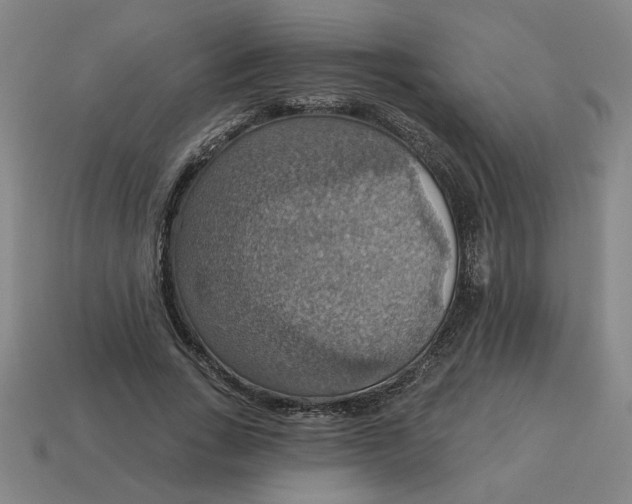 X0000114420735200911061622