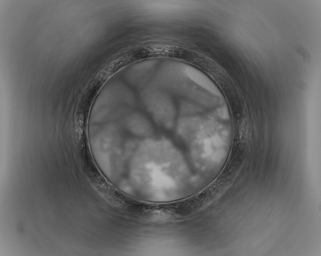 X0000114420737200911061622