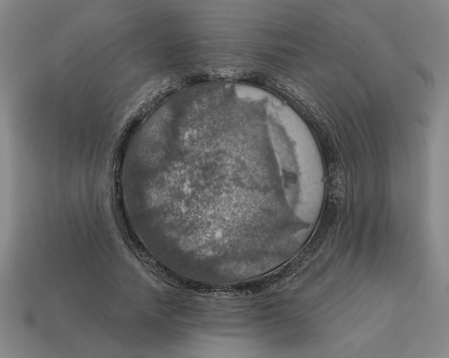 X0000114420738200911061622