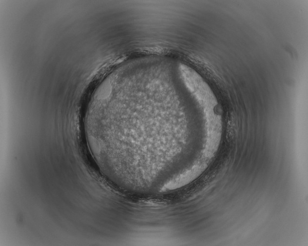 X0000114420739200911061622
