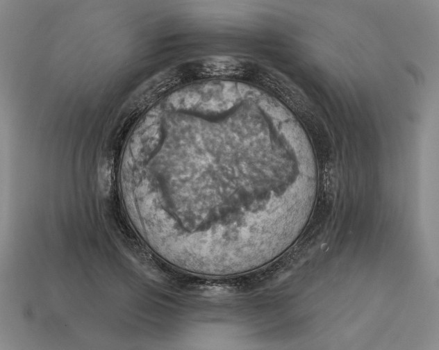 X0000114420741200911061622