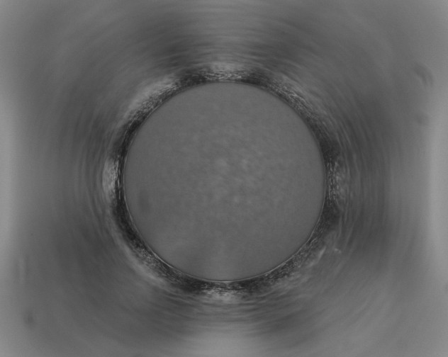 X0000114420742200911061622