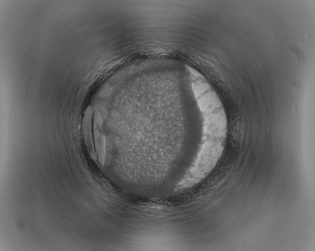 X0000114420743200911061622