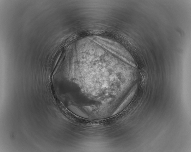 X0000114420745200911061622