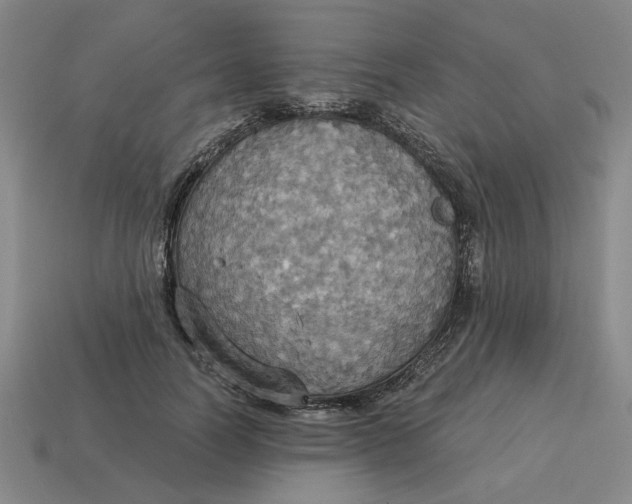 X0000114420746200911061622