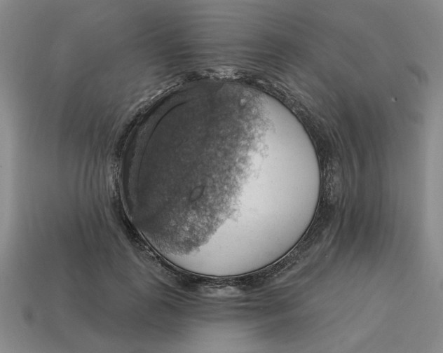 X0000114420747200911061622