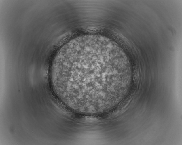 X0000114420749200911061622